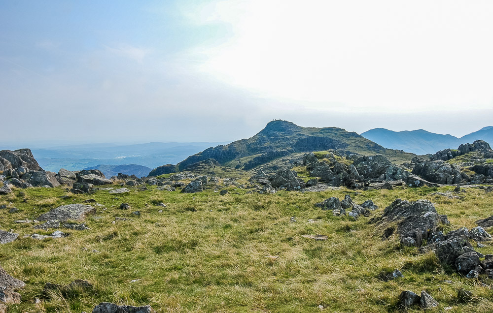 Harrison Stickle